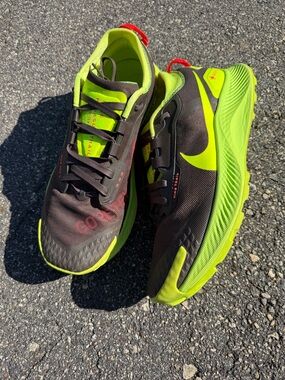 Nike Pegasus Trail 3 GTX GORE-TEX -